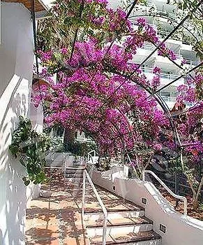 Ponderosa Apartamento *